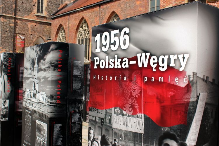 Solidarność polsko-węgierska na fotografii, Bartosz Senderek